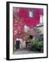 Italy, Tuscany, Volpaia. Red Ivy Covering the Walls of the Buildings-Julie Eggers-Framed Photographic Print