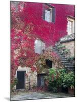 Italy, Tuscany, Volpaia. Red Ivy Covering the Walls of the Buildings-Julie Eggers-Mounted Photographic Print