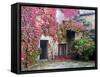 Italy, Tuscany, Volpaia. Red Ivy Covering the Walls of the Buildings-Julie Eggers-Framed Stretched Canvas