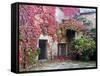 Italy, Tuscany, Volpaia. Red Ivy Covering the Walls of the Buildings-Julie Eggers-Framed Stretched Canvas