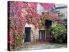 Italy, Tuscany, Volpaia. Red Ivy Covering the Walls of the Buildings-Julie Eggers-Stretched Canvas