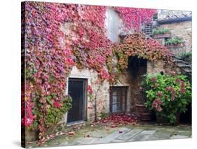 Italy, Tuscany, Volpaia. Red Ivy Covering the Walls of the Buildings-Julie Eggers-Stretched Canvas