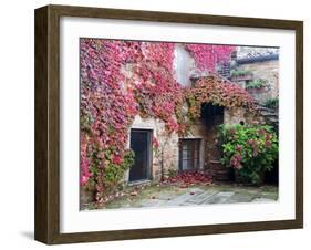Italy, Tuscany, Volpaia. Red Ivy Covering the Walls of the Buildings-Julie Eggers-Framed Premium Photographic Print