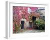 Italy, Tuscany, Volpaia. Red Ivy Covering the Walls of the Buildings-Julie Eggers-Framed Premium Photographic Print