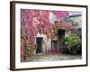 Italy, Tuscany, Volpaia. Red Ivy Covering the Walls of the Buildings-Julie Eggers-Framed Photographic Print