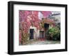 Italy, Tuscany, Volpaia. Red Ivy Covering the Walls of the Buildings-Julie Eggers-Framed Photographic Print