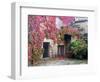 Italy, Tuscany, Volpaia. Red Ivy Covering the Walls of the Buildings-Julie Eggers-Framed Photographic Print