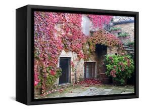 Italy, Tuscany, Volpaia. Red Ivy Covering the Walls of the Buildings-Julie Eggers-Framed Stretched Canvas