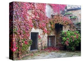 Italy, Tuscany, Volpaia. Red Ivy Covering the Walls of the Buildings-Julie Eggers-Stretched Canvas