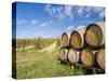 Italy, Tuscany. Wine barrels in a vineyard in Tuscany.-Julie Eggers-Stretched Canvas