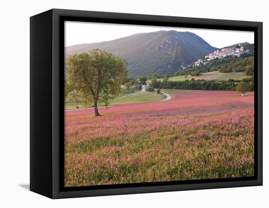 Italy, Umbria, Campi, a Field of Sainfoin Outside the Small and Ancient Village of Campi, Near Norc-Katie Garrod-Framed Stretched Canvas