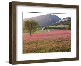 Italy, Umbria, Campi, a Field of Sainfoin Outside the Small and Ancient Village of Campi, Near Norc-Katie Garrod-Framed Photographic Print