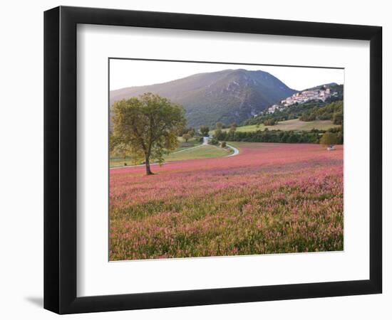 Italy, Umbria, Campi, a Field of Sainfoin Outside the Small and Ancient Village of Campi, Near Norc-Katie Garrod-Framed Photographic Print