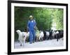 Italy, Umbria, Campi, a Shepherd Bringing His Flock Down from the Hills, with the Help of His Dogs-Katie Garrod-Framed Photographic Print