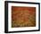 Italy, Umbria, Norcia, Poppies Growing in Barley Fields Near Norcia-Katie Garrod-Framed Photographic Print