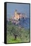 Italy, Umbria, Perugia District, Assisi, Basilica of San Francesco.-Francesco Iacobelli-Framed Stretched Canvas