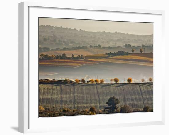 Italy, Umbria, Perugia District, Autumnal Countryside Near Montefalco-Francesco Iacobelli-Framed Photographic Print