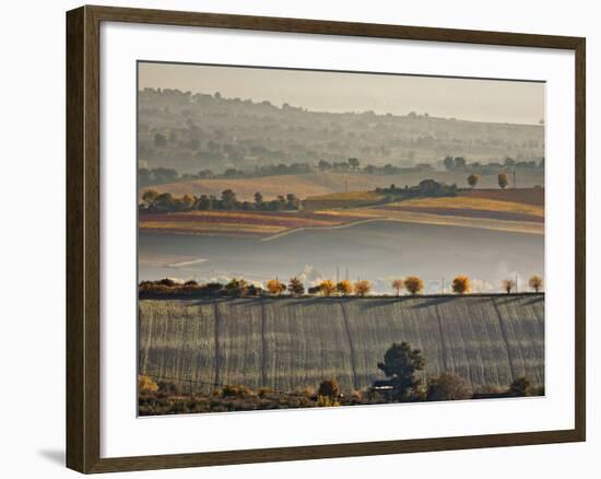 Italy, Umbria, Perugia District, Autumnal Countryside Near Montefalco-Francesco Iacobelli-Framed Photographic Print