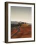 Italy, Umbria, Perugia District, Autumnal Vineyards Near Montefalco-Francesco Iacobelli-Framed Photographic Print