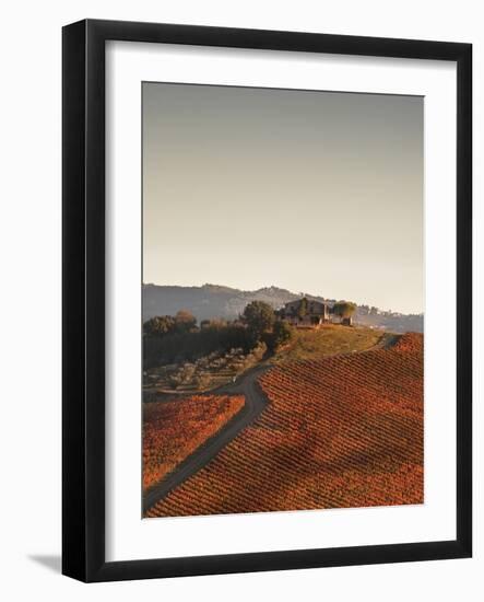 Italy, Umbria, Perugia District, Autumnal Vineyards Near Montefalco-Francesco Iacobelli-Framed Photographic Print