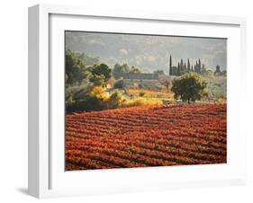 Italy, Umbria, Perugia District, Autumnal Vineyards Near Montefalco-Francesco Iacobelli-Framed Photographic Print