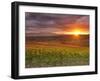 Italy, Umbria, Perugia District, Autumnal Vineyards Near Montefalco-Francesco Iacobelli-Framed Photographic Print