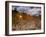 Italy, Umbria, Perugia District, Autumnal Vineyards Near Montefalco-Francesco Iacobelli-Framed Photographic Print