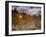 Italy, Umbria, Perugia District, Autumnal Vineyards Near Montefalco-Francesco Iacobelli-Framed Photographic Print