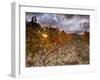 Italy, Umbria, Perugia District, Autumnal Vineyards Near Montefalco-Francesco Iacobelli-Framed Photographic Print