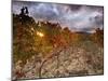 Italy, Umbria, Perugia District, Autumnal Vineyards Near Montefalco-Francesco Iacobelli-Mounted Photographic Print