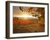 Italy, Umbria, Perugia District, Autumnal Vineyards Near Montefalco-Francesco Iacobelli-Framed Photographic Print