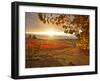 Italy, Umbria, Perugia District, Autumnal Vineyards Near Montefalco-Francesco Iacobelli-Framed Photographic Print