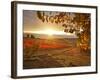 Italy, Umbria, Perugia District, Autumnal Vineyards Near Montefalco-Francesco Iacobelli-Framed Photographic Print