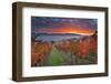 Italy, Umbria, Perugia District. Autumnal Vineyards Near Montefalco.-Francesco Iacobelli-Framed Photographic Print