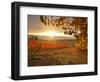 Italy, Umbria, Perugia District, Autumnal Vineyards Near Montefalco-Francesco Iacobelli-Framed Photographic Print