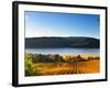 Italy, Umbria, Perugia District, Corbara Lake-Francesco Iacobelli-Framed Photographic Print