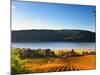 Italy, Umbria, Perugia District, Corbara Lake-Francesco Iacobelli-Mounted Photographic Print