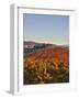 Italy, Umbria, Perugia District, Dawn over the Autumnal Vineyards Near Montefalco-Francesco Iacobelli-Framed Photographic Print