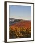 Italy, Umbria, Perugia District, Dawn over the Autumnal Vineyards Near Montefalco-Francesco Iacobelli-Framed Photographic Print