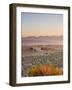 Italy, Umbria, Perugia District, Giano Dell'Umbria, Abbey of San Felice-Francesco Iacobelli-Framed Photographic Print