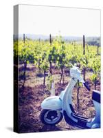 Italy, Umbria, Perugia District, Montefalco, Vespa Scooter in Vineyard-Francesco Iacobelli-Stretched Canvas