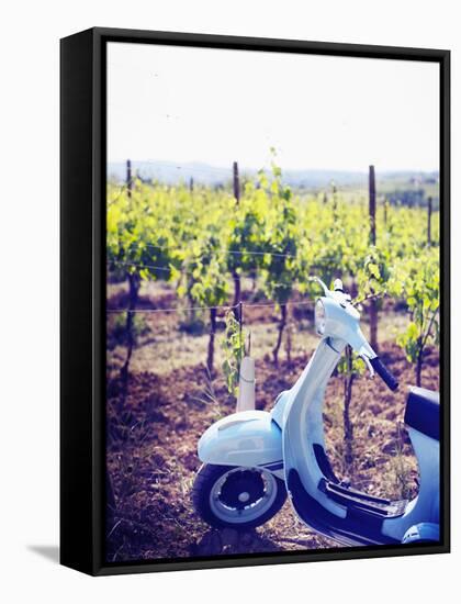Italy, Umbria, Perugia District, Montefalco, Vespa Scooter in Vineyard-Francesco Iacobelli-Framed Stretched Canvas