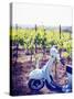 Italy, Umbria, Perugia District, Montefalco, Vespa Scooter in Vineyard-Francesco Iacobelli-Stretched Canvas