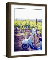 Italy, Umbria, Perugia District, Montefalco, Vespa Scooter in Vineyard-Francesco Iacobelli-Framed Photographic Print