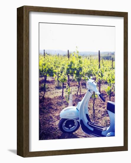 Italy, Umbria, Perugia District, Montefalco, Vespa Scooter in Vineyard-Francesco Iacobelli-Framed Photographic Print