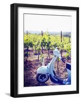 Italy, Umbria, Perugia District, Montefalco, Vespa Scooter in Vineyard-Francesco Iacobelli-Framed Photographic Print