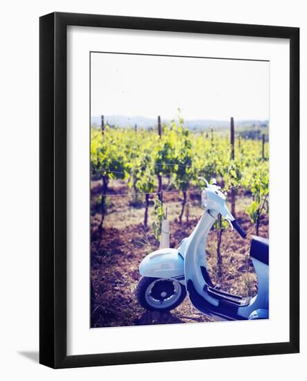 Italy, Umbria, Perugia District, Montefalco, Vespa Scooter in Vineyard-Francesco Iacobelli-Framed Photographic Print