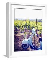 Italy, Umbria, Perugia District, Montefalco, Vespa Scooter in Vineyard-Francesco Iacobelli-Framed Photographic Print