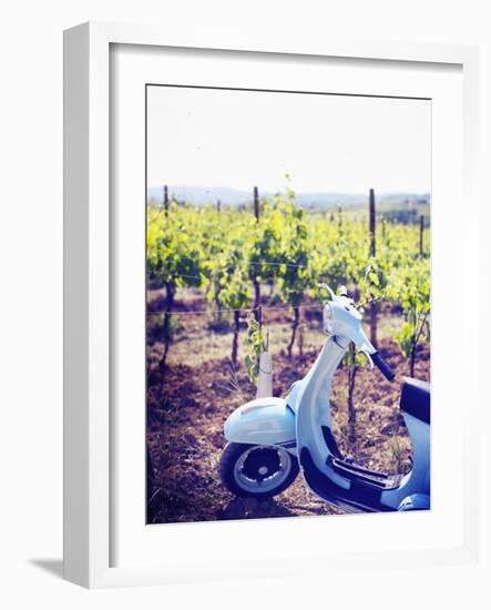 Italy, Umbria, Perugia District, Montefalco, Vespa Scooter in Vineyard-Francesco Iacobelli-Framed Photographic Print