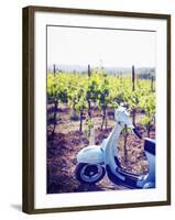 Italy, Umbria, Perugia District, Montefalco, Vespa Scooter in Vineyard-Francesco Iacobelli-Framed Photographic Print